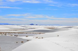 JKW_4447web White Sands National Monument.jpg